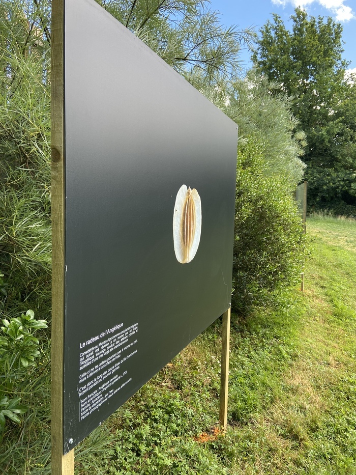 Exposition photos : Graines de beauté Jardin Camifolia Chemillé-en-Anjou