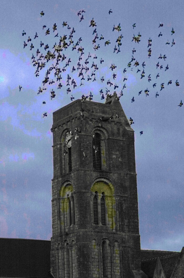 Exposition : regard sur le temps qui passe, Église Saint-Pierre, Lion-sur-Mer