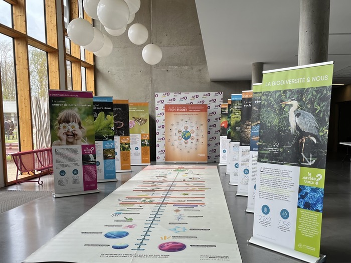 Exposition sur le patrimoine naturel à la Maison du Terroir et d’Animations de Beaulieu-sur-Loire, Maison du Terroir et d’Animations, Beaulieu-sur-Loire