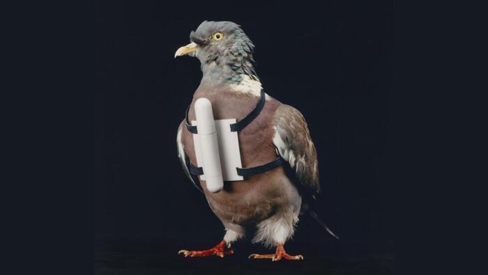 Exposition « We will survive – Le mouvement prepper », Musée des Arts décoratifs et du Design, Bordeaux