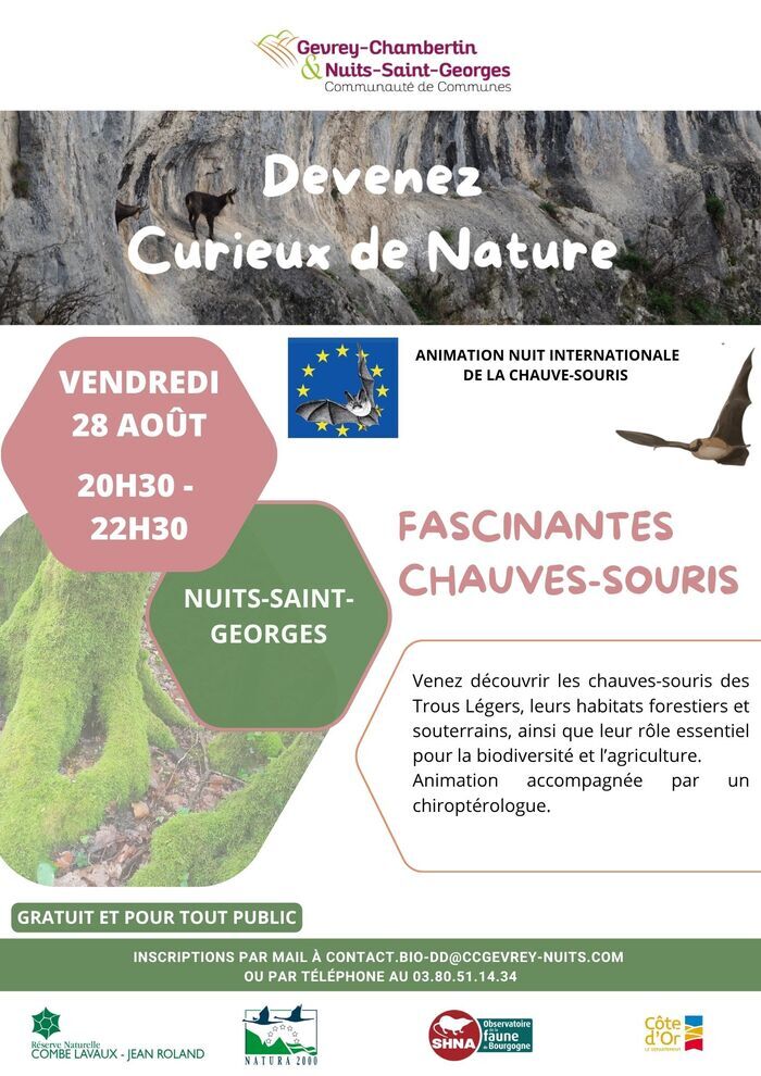 Fascinantes Chauves-souris, Nuits-Saint-Georges, Nuits-Saint-Georges