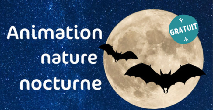 Faune nocturne et ciel étoilé, base de loisir la Haie Traversaine, La Haie-Traversaine