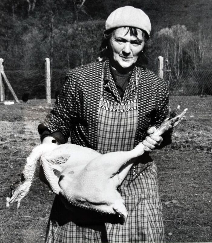 Femmes agricoles COMPA