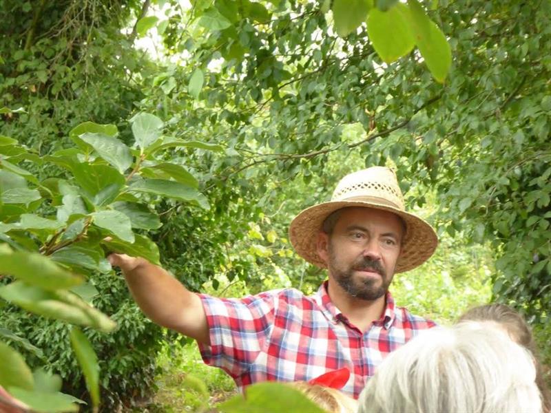 Ferme Obrecht Couleurs et curiosités du potager  Handschuheim