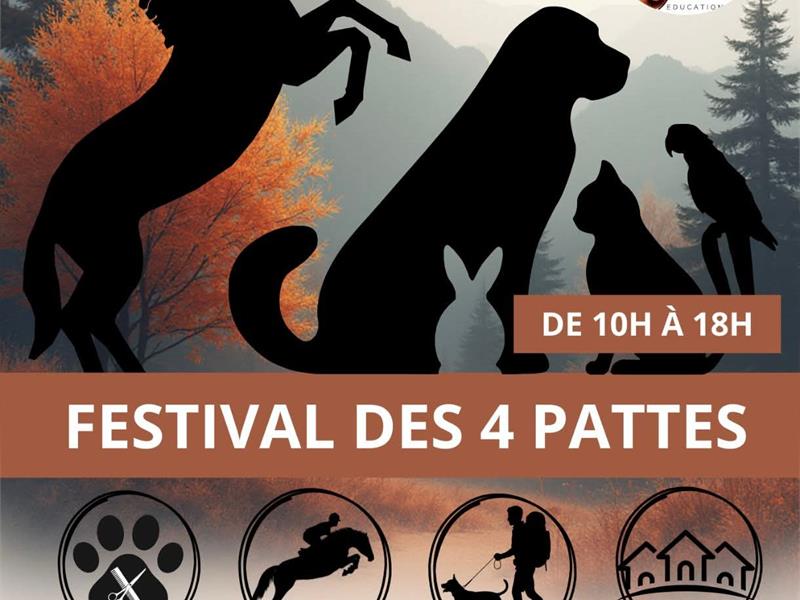 Festival des 4 Pattes Salle Multi-Activité Saint-Étienne-lès-Remiremont