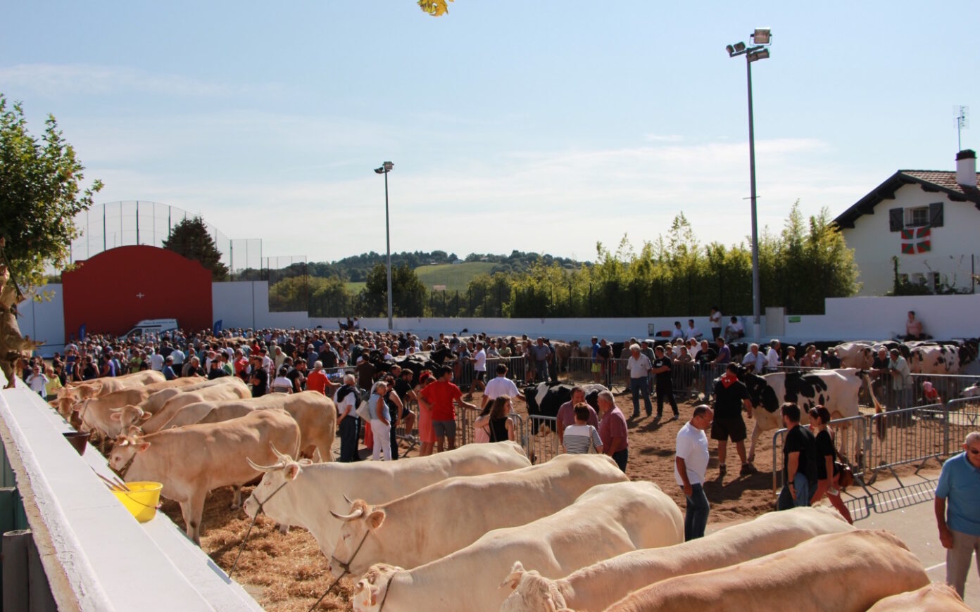 Fêtes d’Urrugne Urrugne