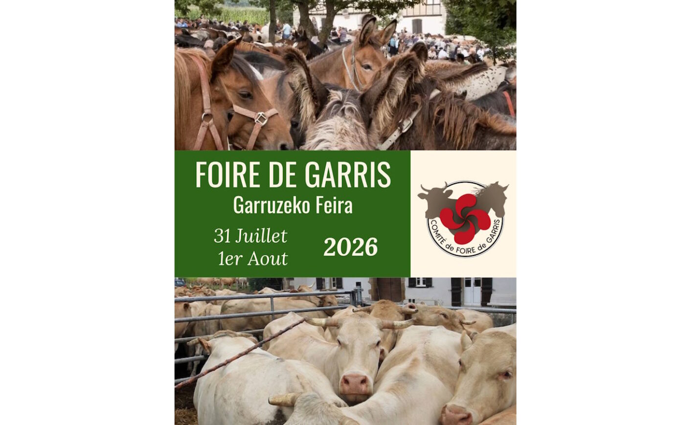 Foire aux chevaux Garris
