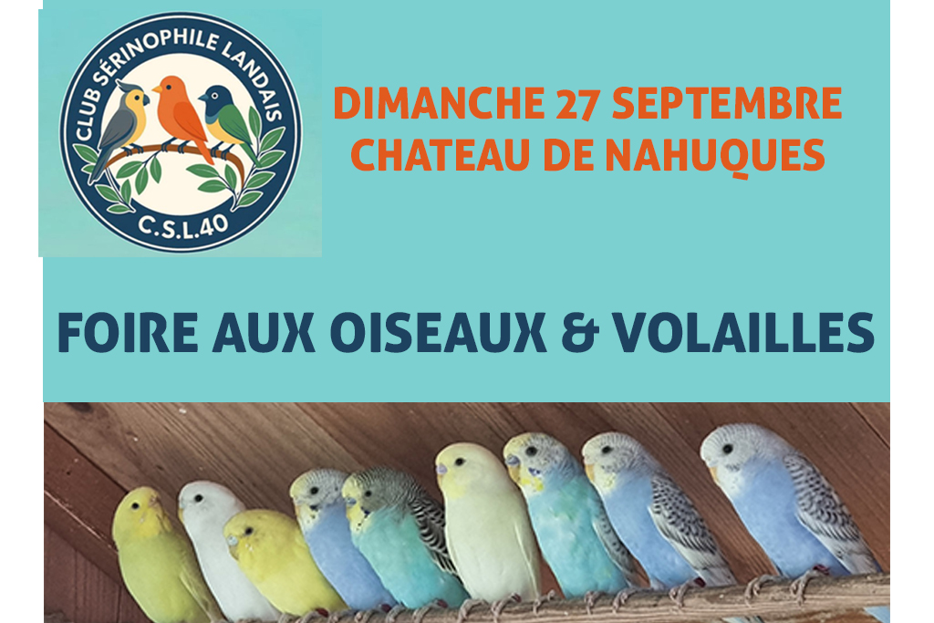 Foire aux oiseaux & volailles Avenue de Villeneuve Mont-de-Marsan 2026-09-27