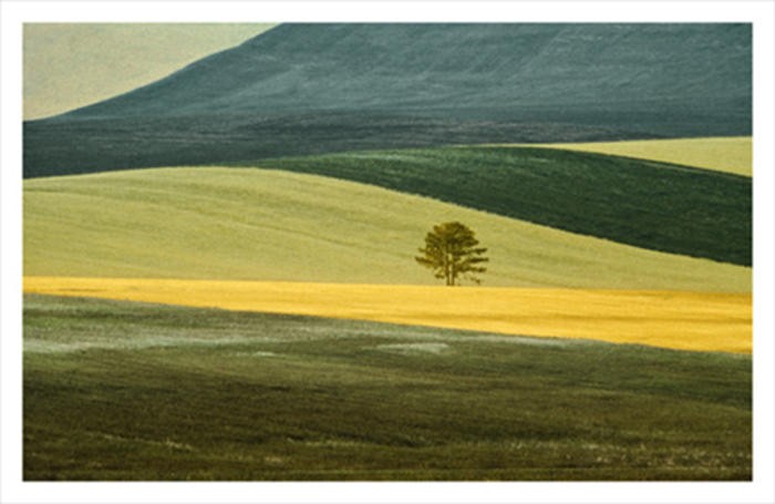 Franco Fontana : Full Color, Villa Tamaris, La Seyne-sur-Mer