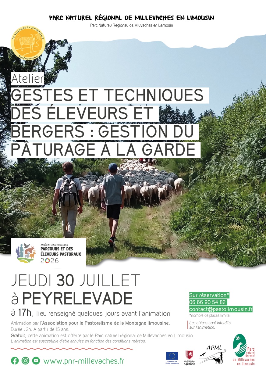 Gestes et techniques des éleveurs et bergers gestion du pâturage à la garde Peyrelevade