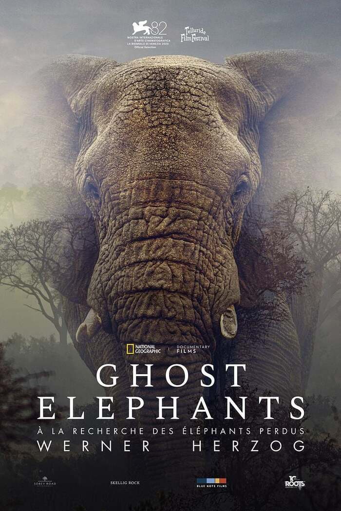 GHOST ELEPHANTS, Cinéma Le Dunois Beaugency, Beaugency