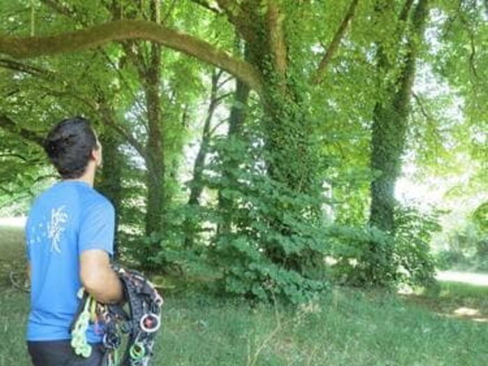 Grimpe dans les arbres avec Ianis d’Arbor Addict, Château de Sanzay, Argenton-les-Vallées
