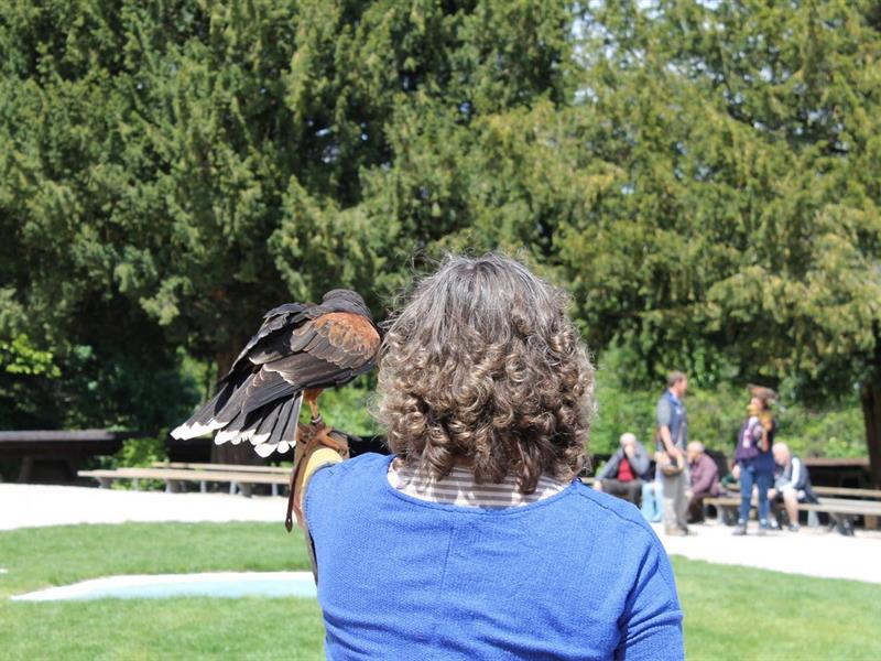Halloween à la Volerie des aigles Kintzheim