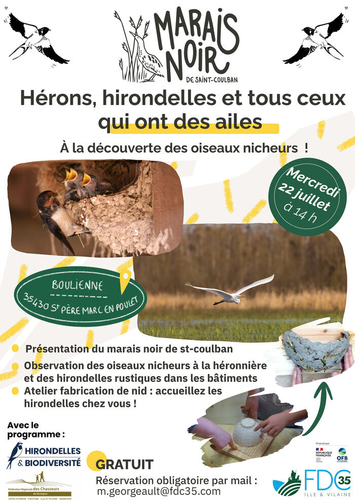 Hérons, hirondelles et tous ceux qui ont des ailes ! Marais noir de Saint-Coulban Saint-Père-Marc-en-Poulet