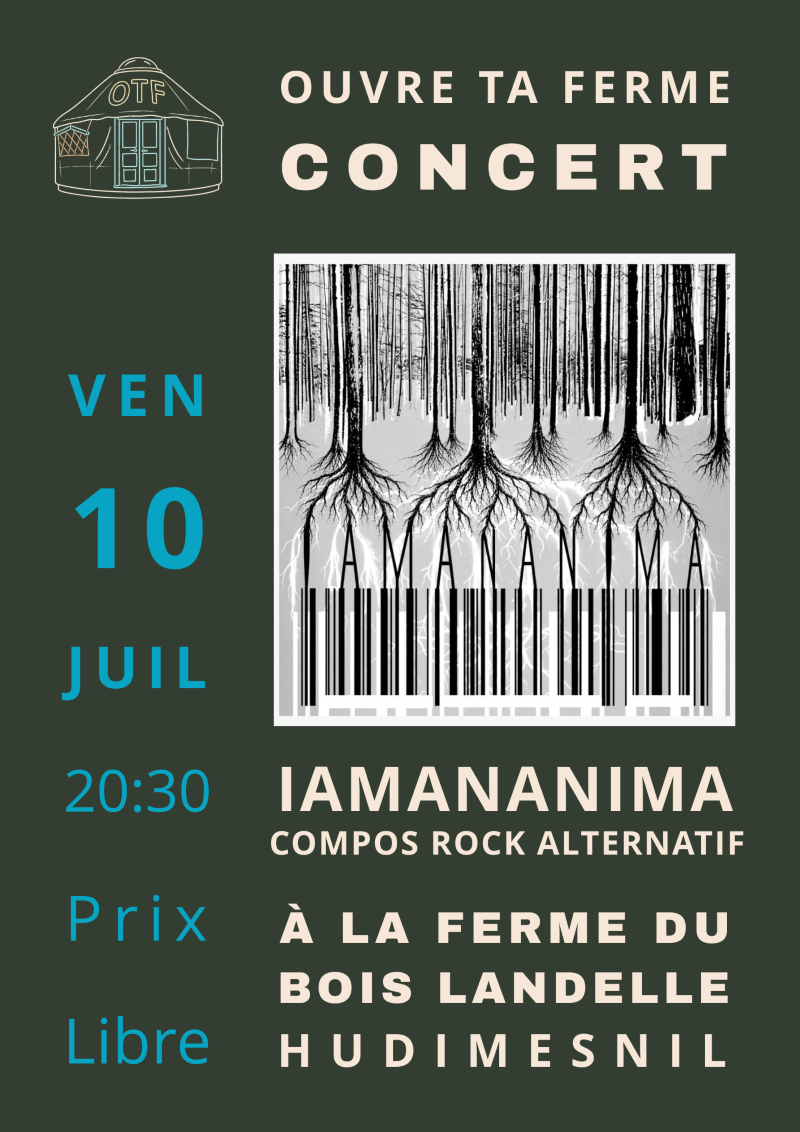 Iamananima en concert Yourte de la Ferme du Bois Landelle Hudimesnil