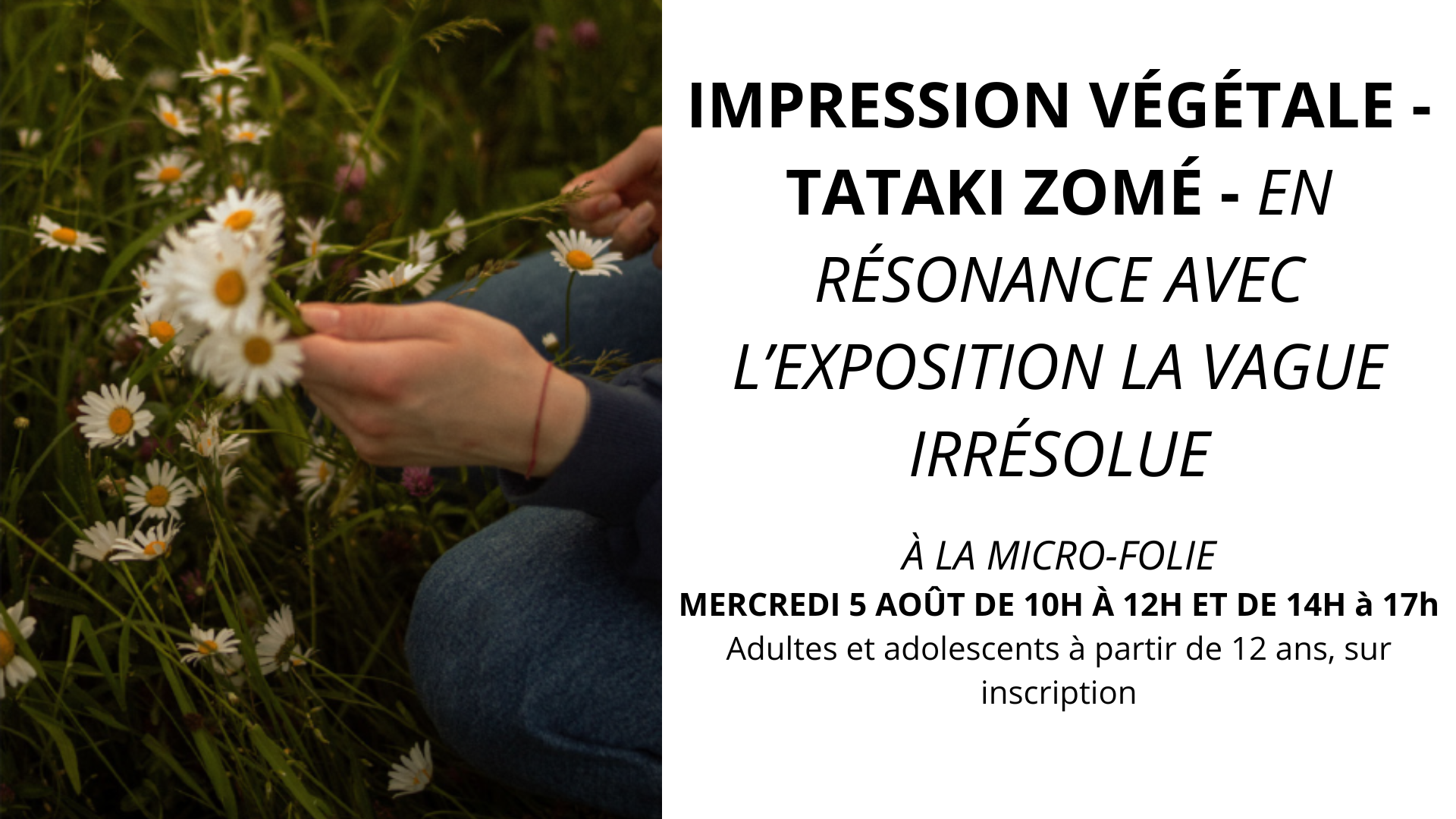 Impression végétale TATAKI ZOMÉ EN RÉSONANCE AVEC L’EXPOSITION LA VAGUE IRRÉSOLUE Boulevard de la Libération Falaise 2026-08-05