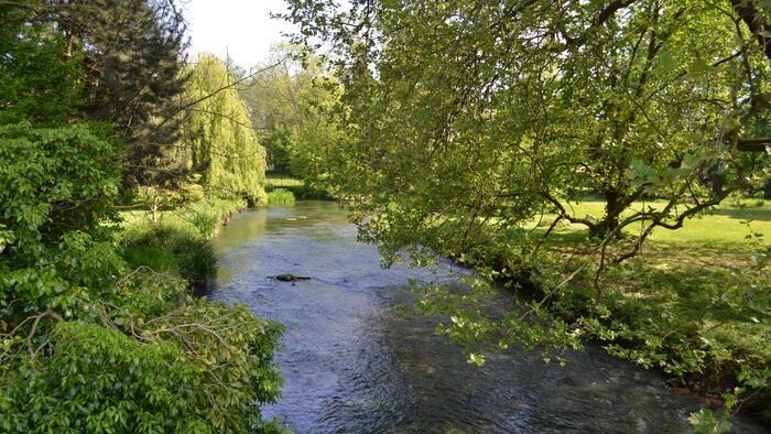 Incroyable voyage naturaliste en famille aux sources de la Bresle et alentour, 9 Rue de Redderies, 60220 Blargies, France, Blargies