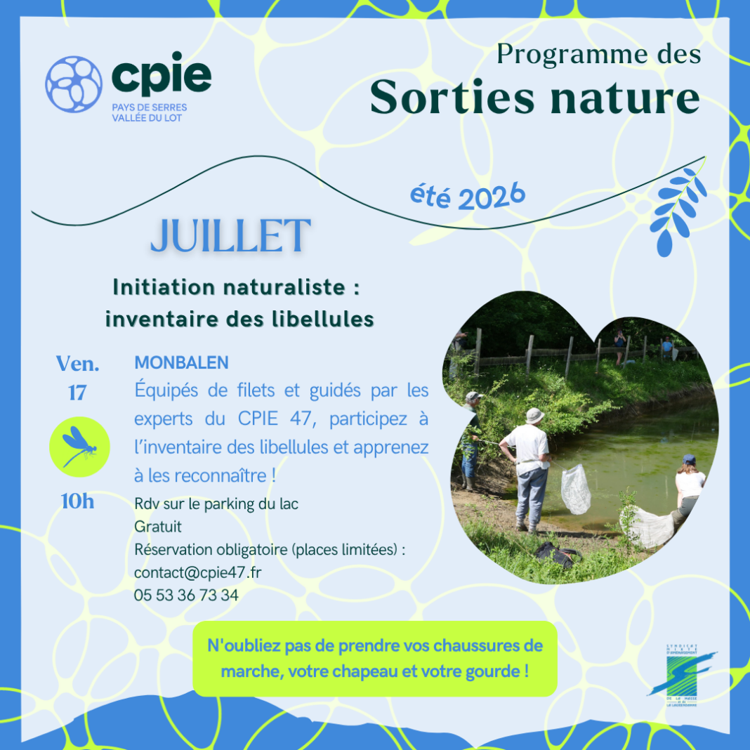 Initatiation naturaliste à la découverte des papillons ! Monbalen