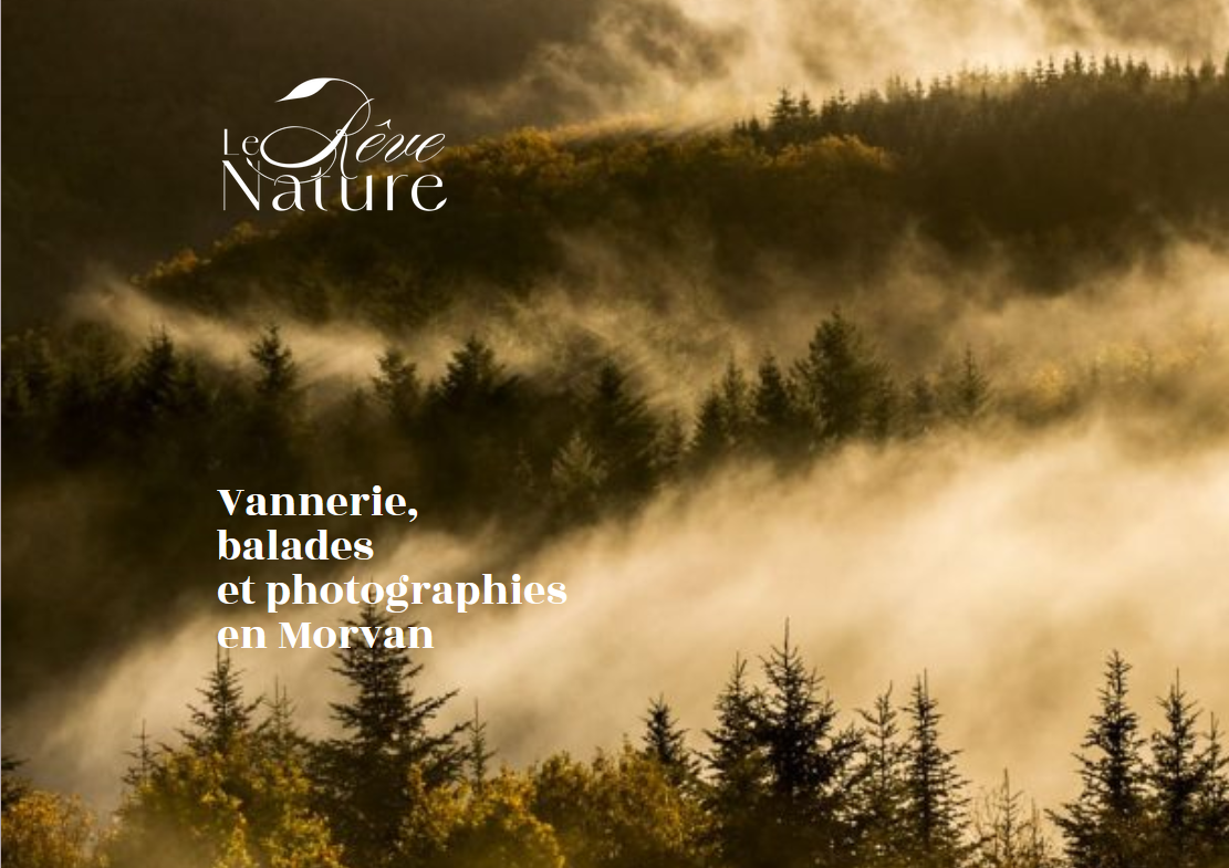 Initiation vannerie Les Soulins Corancy
