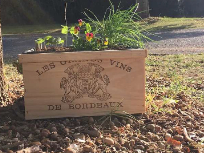 Jardinière autonome en eau, Maison du jardinier et de la nature en ville, Bordeaux