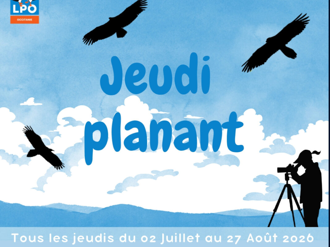 JEUDI PLANANT  Bugarach