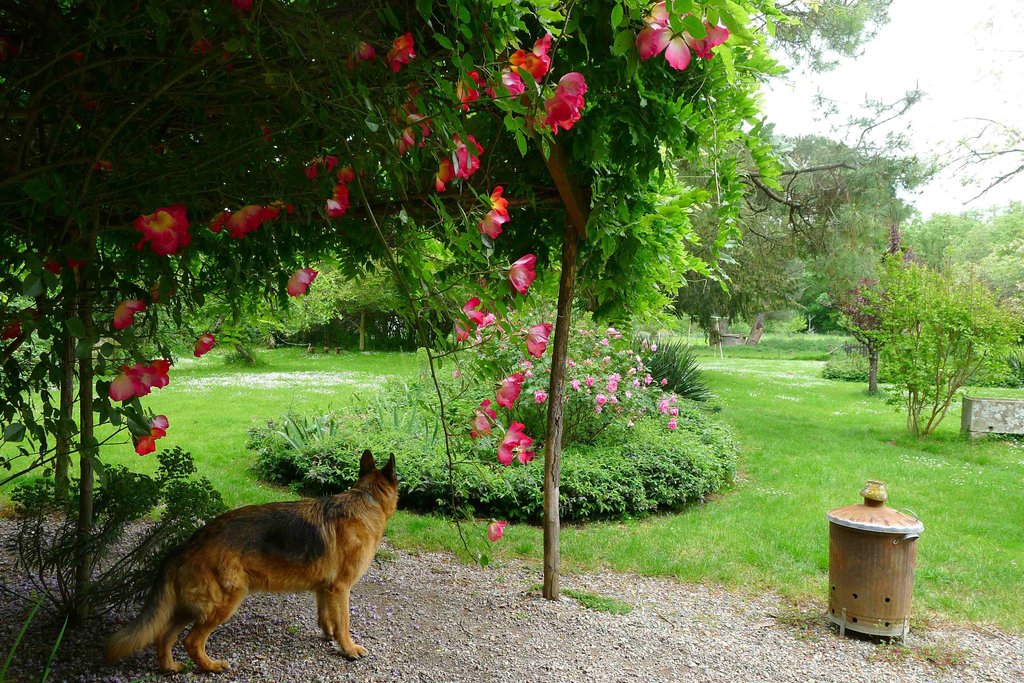 JOUR DES ARTISTES AU JARDIN Montaigut-sur-Save