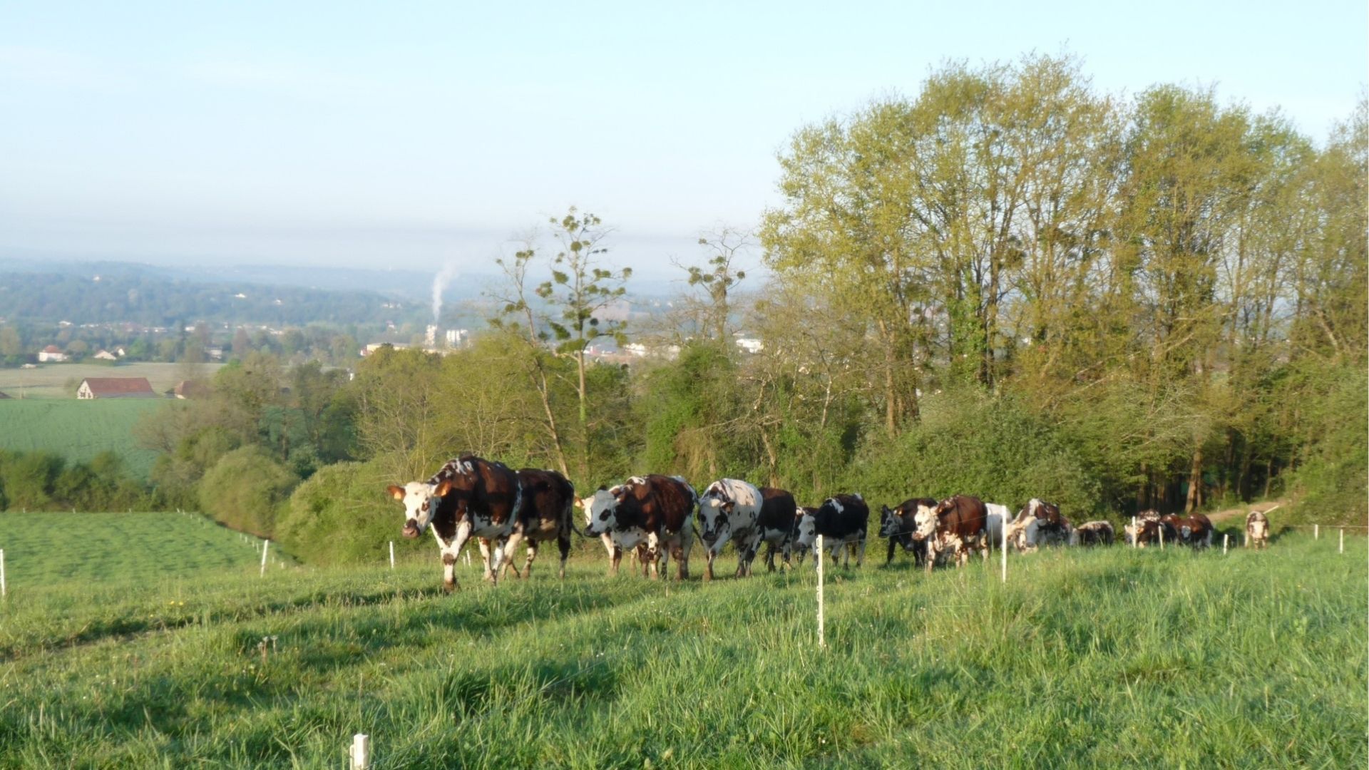 Journée agriculturelle 2400 chemin Eslayas Castétis 2026-09-19