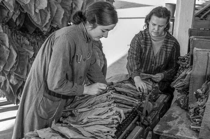 Journée du matrimoine : animations autour des ouvrières du tabac La Traverse Bergerac