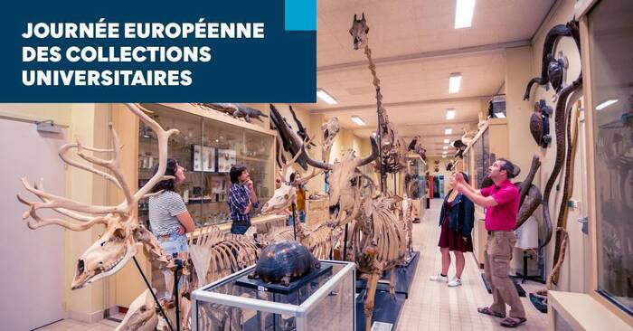 Journée européenne des collections universitaires, Bâtiment 2, Campus de Beaulieu – Université de Rennes, Rennes