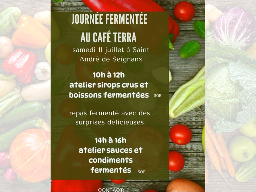 Journée fermentée au Café Terra Café Terra Saint-André-de-Seignanx