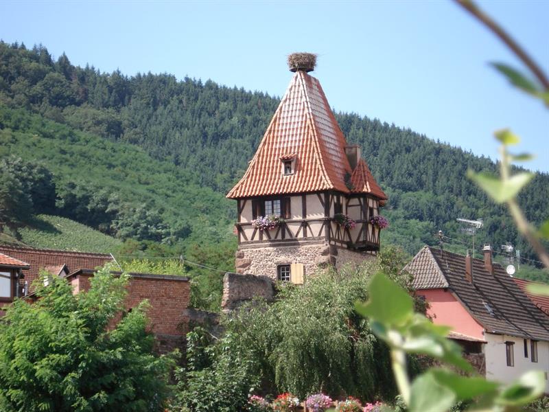 Journées européennes du patrimoine 2026  Châtenois