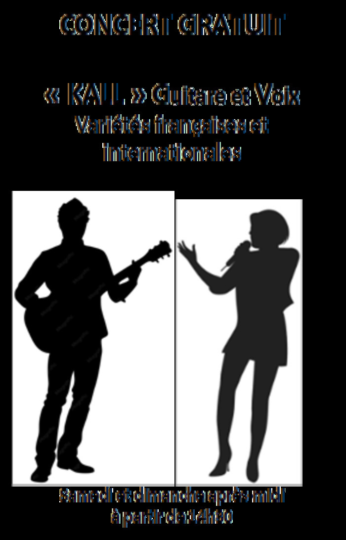 KALL vous propose  un concert guitare/voix dans un Manoir Manoir de Sexey Sexey-aux-Forges