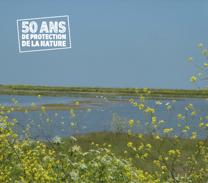 La baie de l’Aiguillon au fil des saisons, Bassins du Curé, Charron