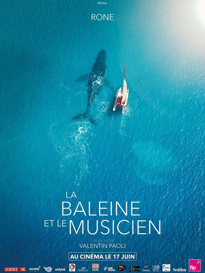 LA BALEINE ET LE MUSICIEN, Cinéma Le Dunois Beaugency, Beaugency