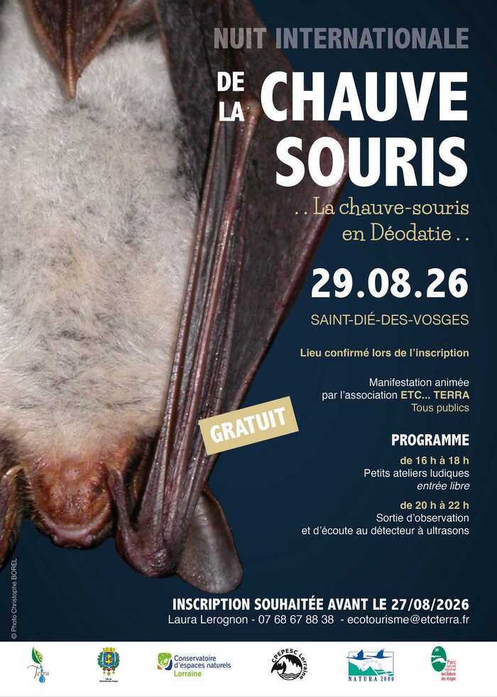 La chauve-souris en Déodatie, transmis à l’inscription, Saint-Dié-des-Vosges