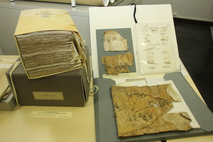 La conservation et la restauration des archives, Pôle culturel Jean-Claude Izzo, Châteauneuf-les-Martigues