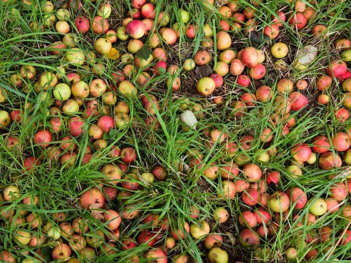 La cuvée Laïta : Rencontre et dégustation avec Les Bouteilles à l’Amère, Site abbatial de Saint-Maurice, Clohars-Carnoët