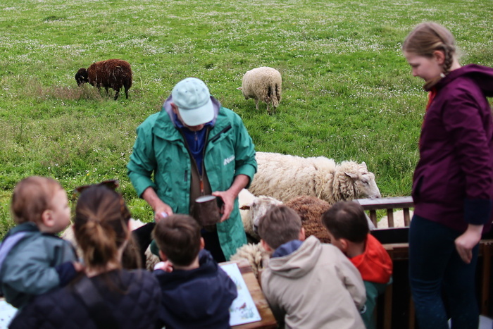 La ferme s’invite au quartier terrain d’aventure Nantes
