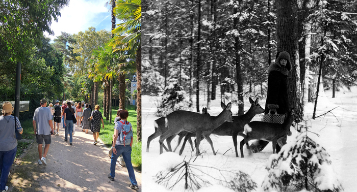 La forêt à portée de rue – Parcours botanique autour de l’exposition Bialowieza, la forêt vivante de Lech & Simona, Centre culturel Saint-Cyprien, Toulouse