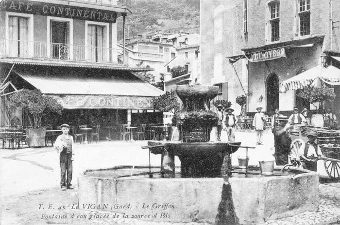 La grande collecte des Cévennes Musée cévenol Le Vigan