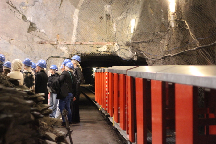 La Mine bleue La Mine bleue Segré-en-Anjou Bleu