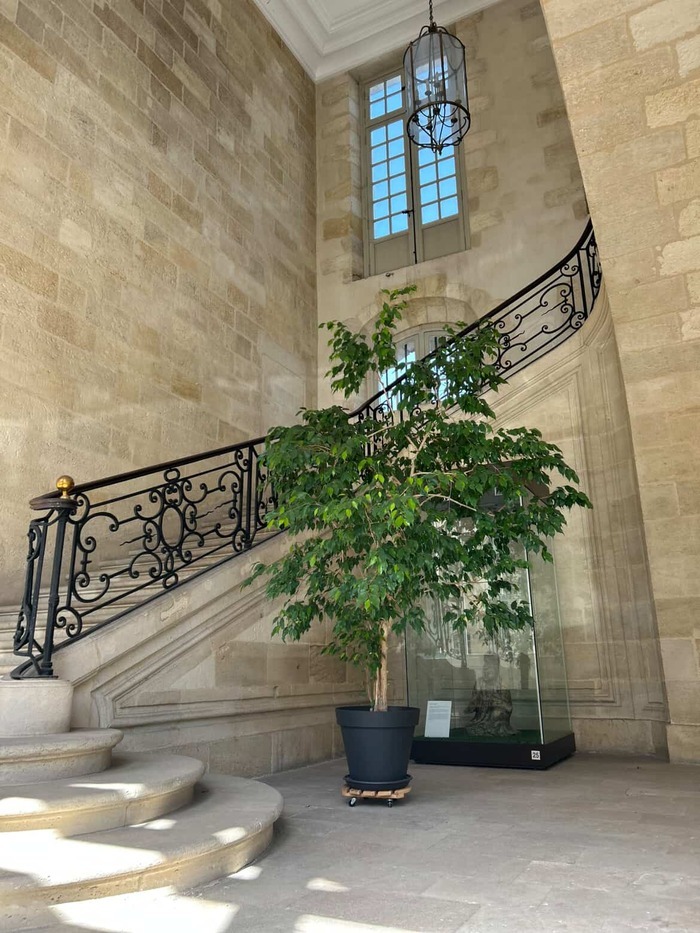 La Nuit des escaliers, Musée national des Douanes, Bordeaux