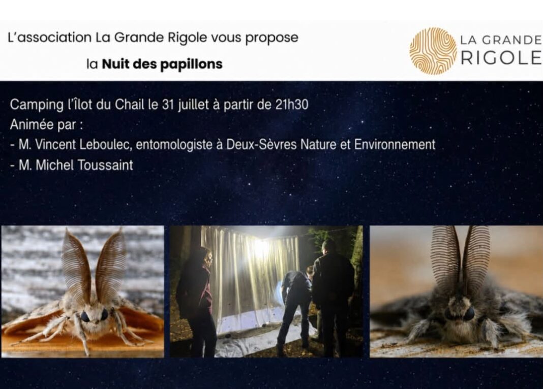 La Nuit des Papillons à La Garette Rue des Gravées Sansais