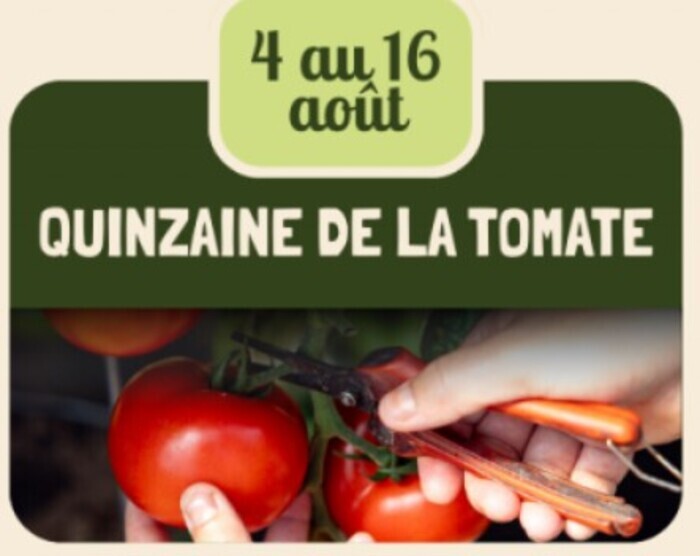 La quinzaine de la tomate, Cueillette de Lumigny, Lumigny-Nesles-Ormeaux
