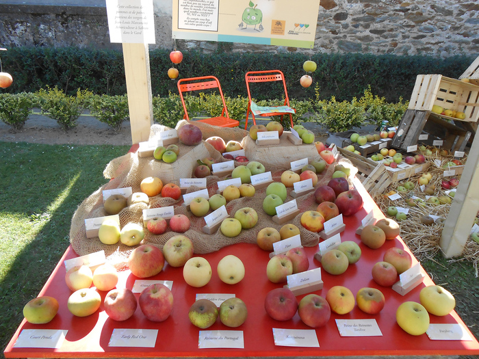 La sagesse des fruits de garde Les Terrasses du Bosquet Alès