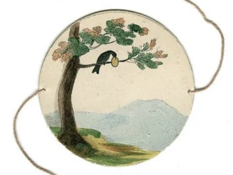 La Serre à l’origine du film d’animation Neugartheim-Ittlenheim