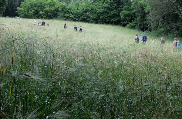 La tournée de Lucien le Garde Champêtre Plateau du Bénou Bielle