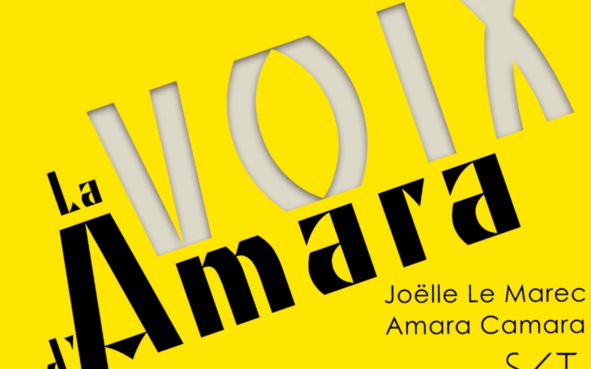 La Voix d'Amara : rencontre avec Joëlle Le Marec et Amara Camara Bibliothèque Václav Havel  Paris