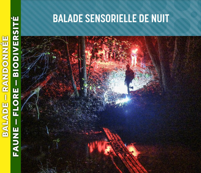 LANDES DE GASCOGNE – Balade sensorielle de nuit, Bourideys (33), Bourideys
