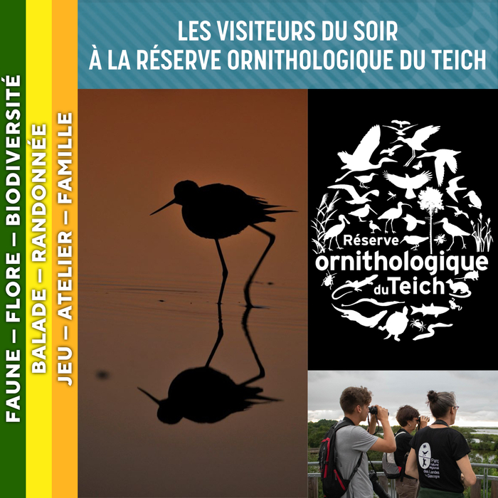 LANDES DE GASCOGNE – Les visiteurs du soir à la réserve ornithologique du Teich, Entrée de la Réserve ornithologique du Teich (33470), Le Teich